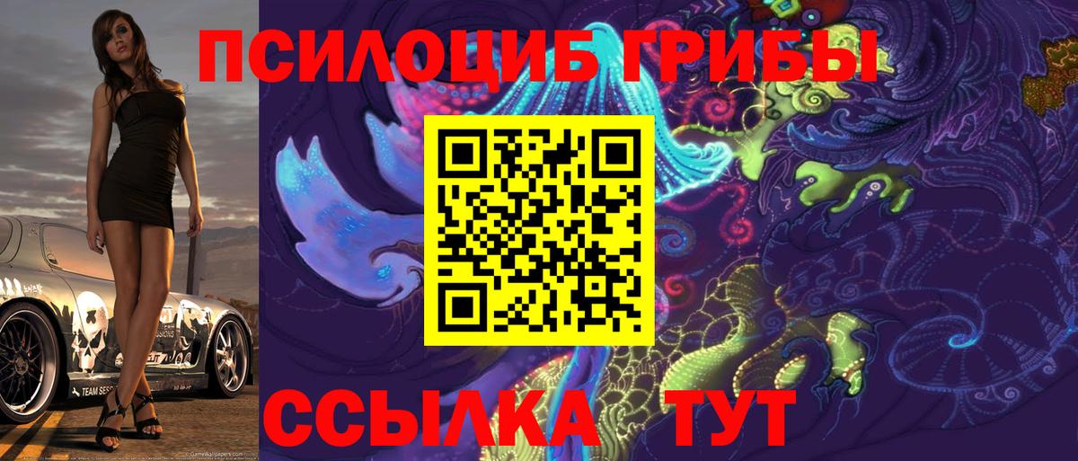 Галлюциногенные грибы Magic Shrooms  Вход с VPN  дарнет шоп  Нерюнгри 